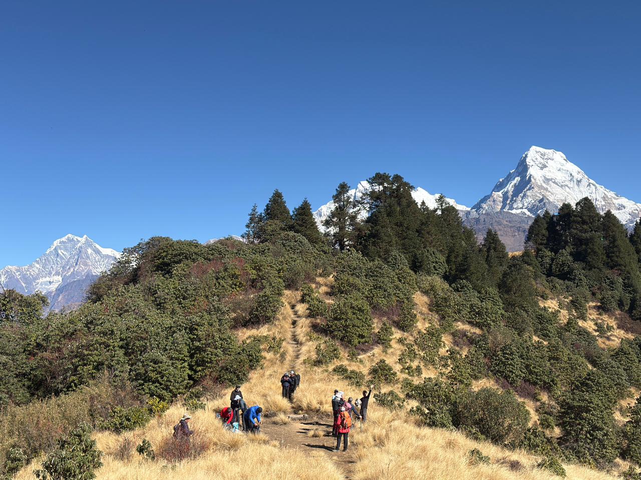 Annapurna Region image
