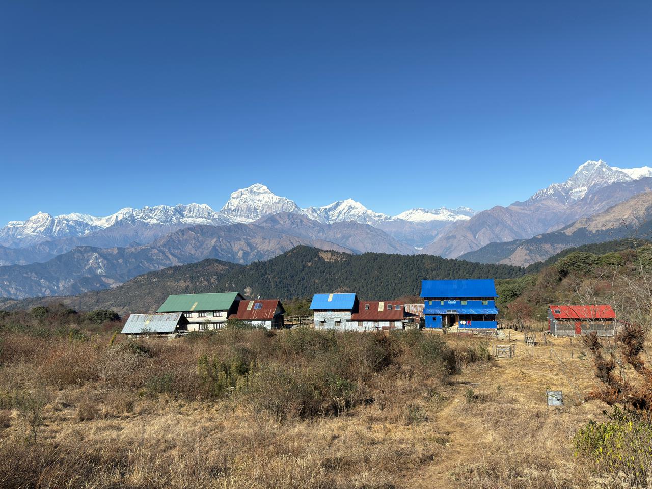 Dhaulagiri Circuit Trek Including Dhampush Peak 6012 M image
