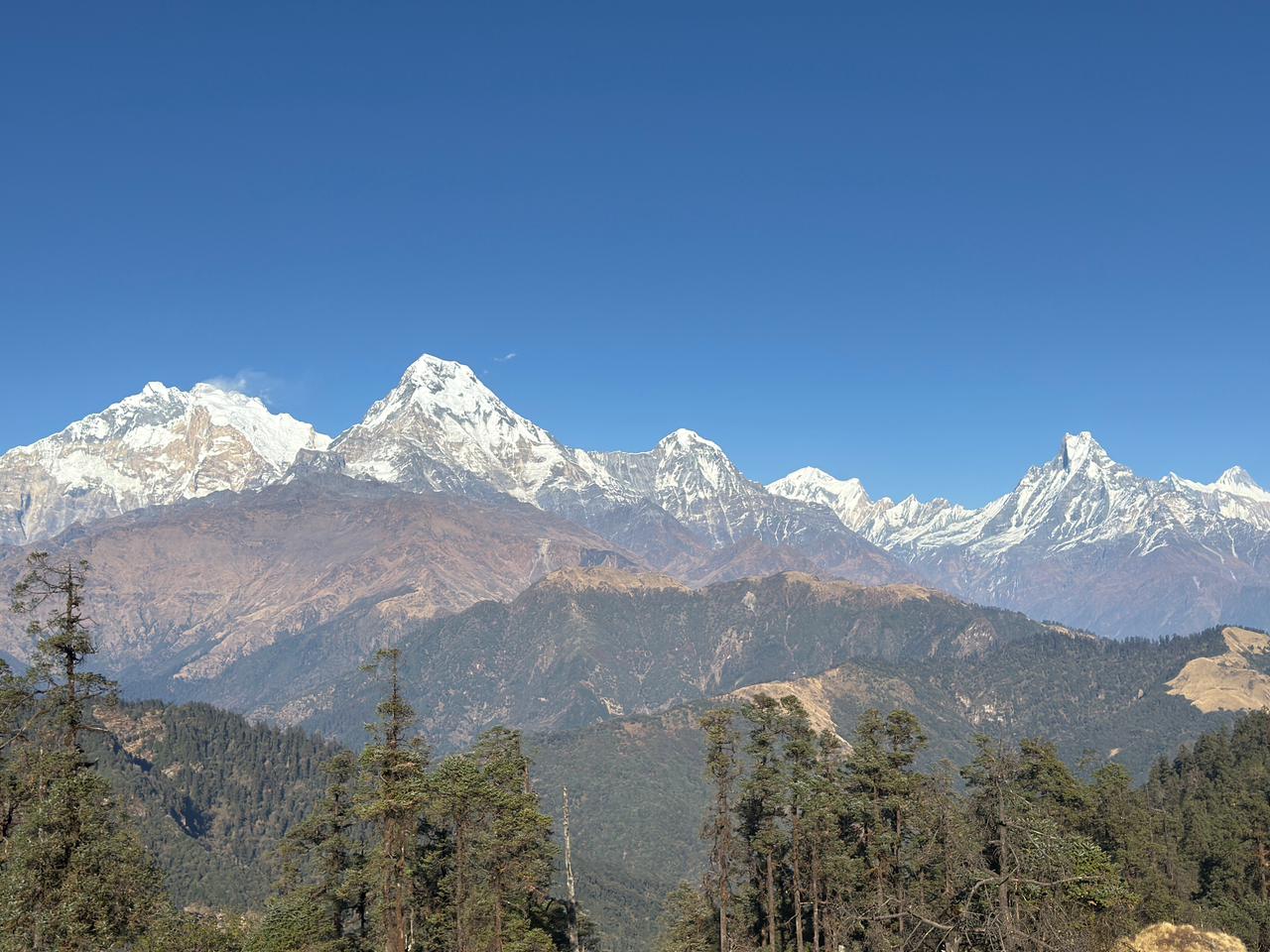 Annapurna Viewpoint Trek image